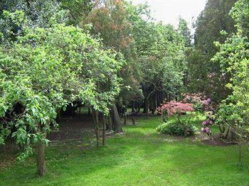 Foxwood Guest House Robin Hood Luaran gambar